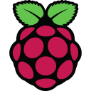 Raspberry Pi icon